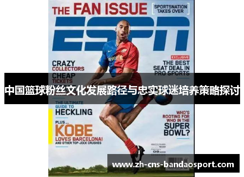 中国篮球粉丝文化发展路径与忠实球迷培养策略探讨