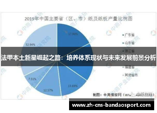法甲本土新星崛起之路：培养体系现状与未来发展前景分析