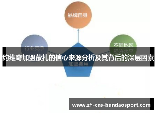 约维奇加盟蒙扎的信心来源分析及其背后的深层因素