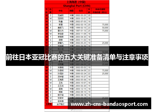 前往日本亚冠比赛的五大关键准备清单与注意事项