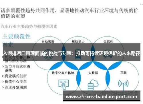 入河排污口管理面临的挑战与对策：推动可持续环境保护的未来路径