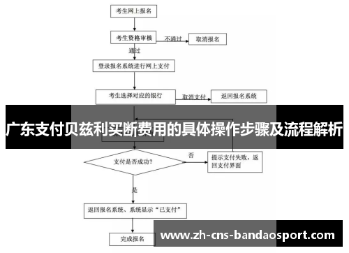 广东支付贝兹利买断费用的具体操作步骤及流程解析