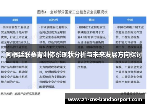 阿根廷联赛青训体系现状分析与未来发展方向探讨
