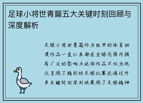 足球小将世青篇五大关键时刻回顾与深度解析