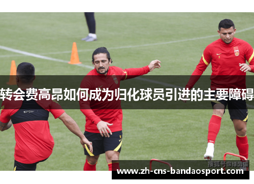 转会费高昂如何成为归化球员引进的主要障碍