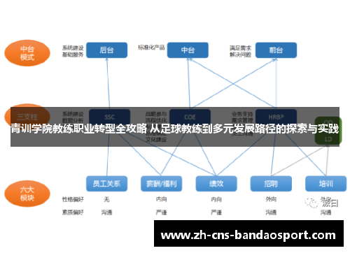 青训学院教练职业转型全攻略 从足球教练到多元发展路径的探索与实践