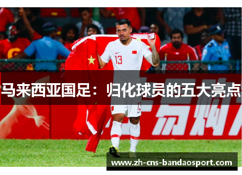 马来西亚国足：归化球员的五大亮点