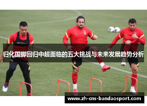 归化国脚回归中超面临的五大挑战与未来发展趋势分析 归化国脚回归中超面临的五大挑战与未来发展趋势分析